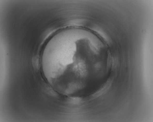 X0000112160878200908141232