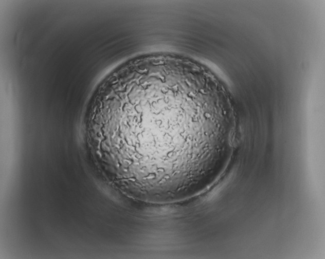 X0000112160879200908141232
