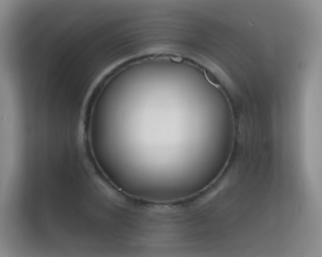 X0000112160880200908141232
