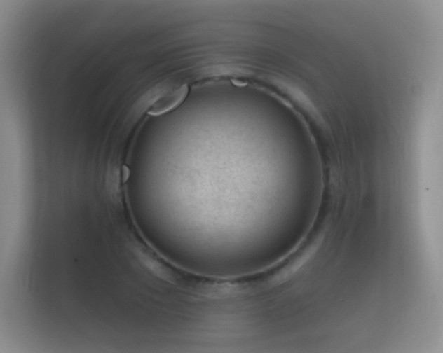X0000112160881200908141232