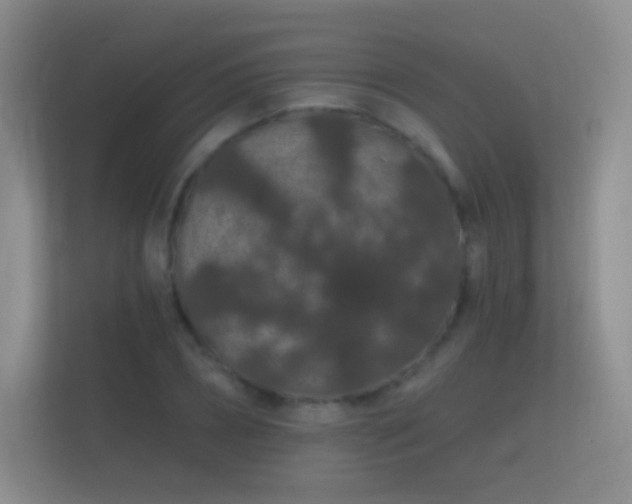 X0000112160882200908141232
