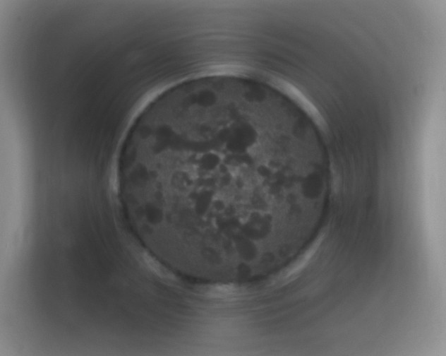 X0000112160883200908141232