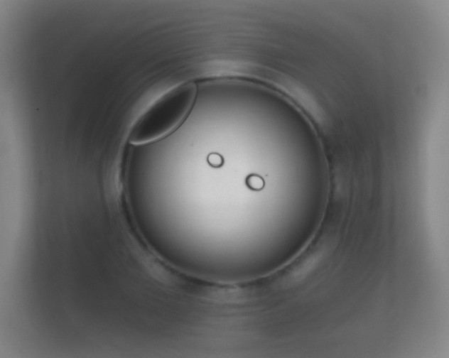 X0000112160885200908141232