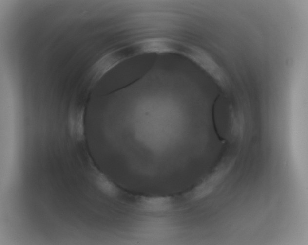 X0000112160889200908141232