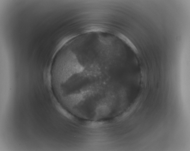 X0000112160890200908141232