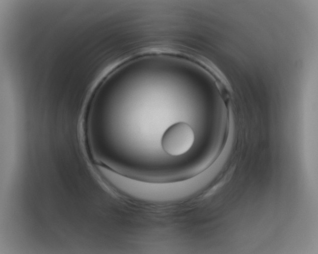 X0000112160893200908141232