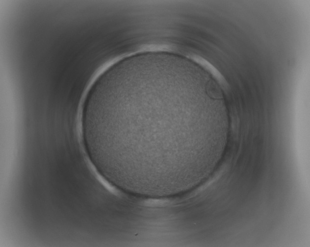 X0000112160894200908141232