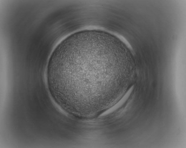 X0000112160895200908141232