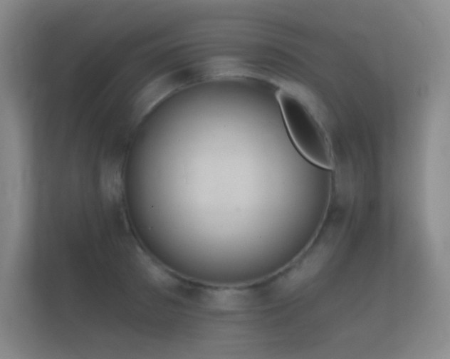 X0000112160897200908141232