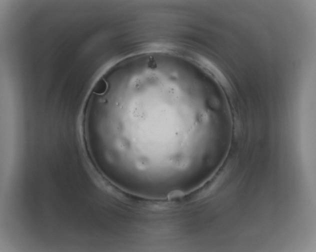 X0000112160899200908141232