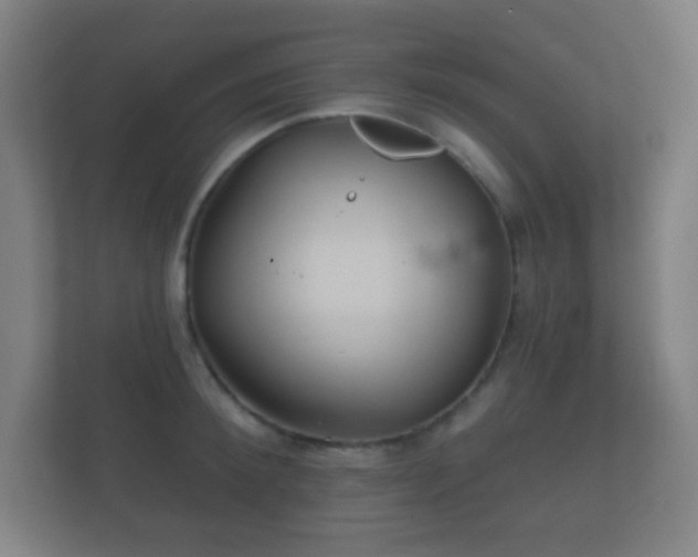 X0000112160900200908141232