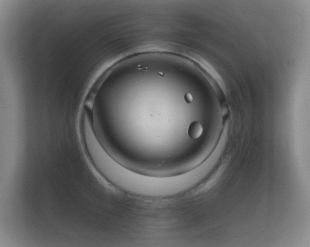 X0000112160901200908141232