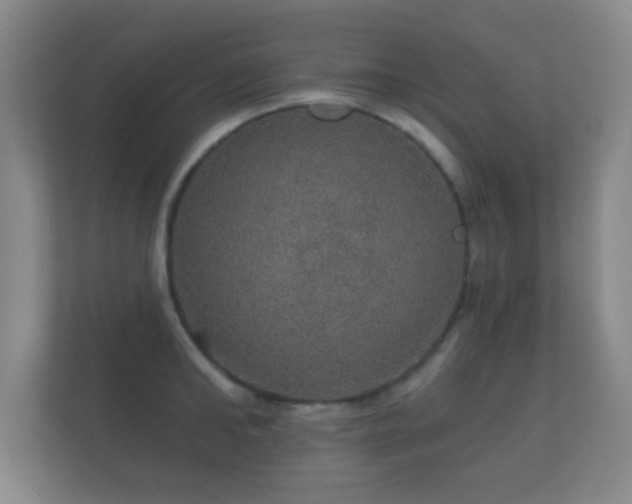 X0000112160902200908141232