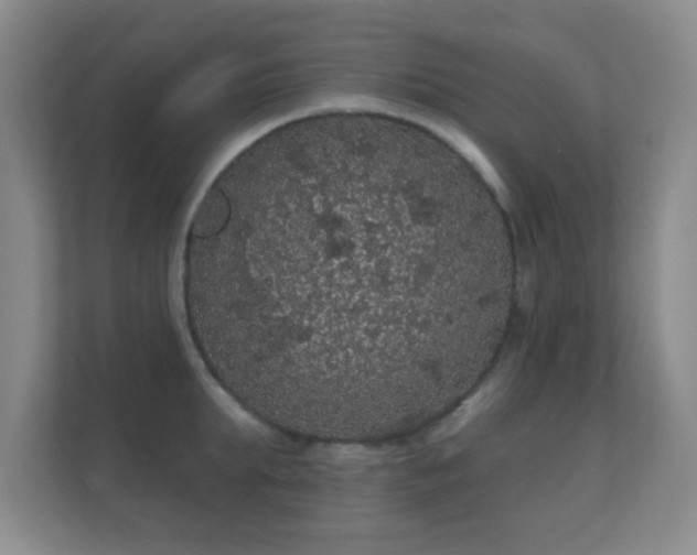 X0000112160903200908141232