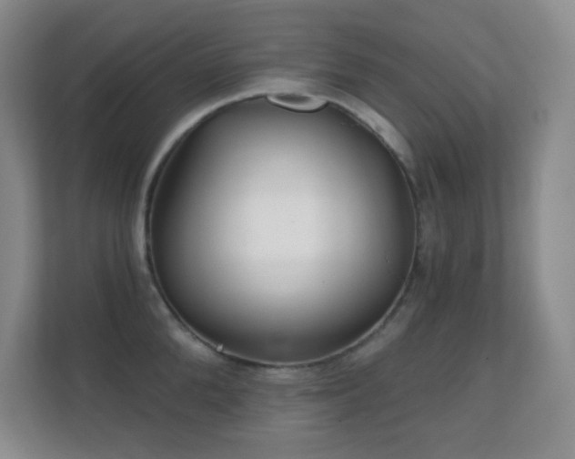 X0000112160904200908141232