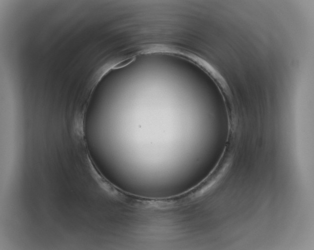 X0000112160905200908141232