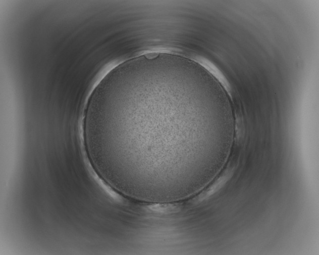 X0000112160906200908141232