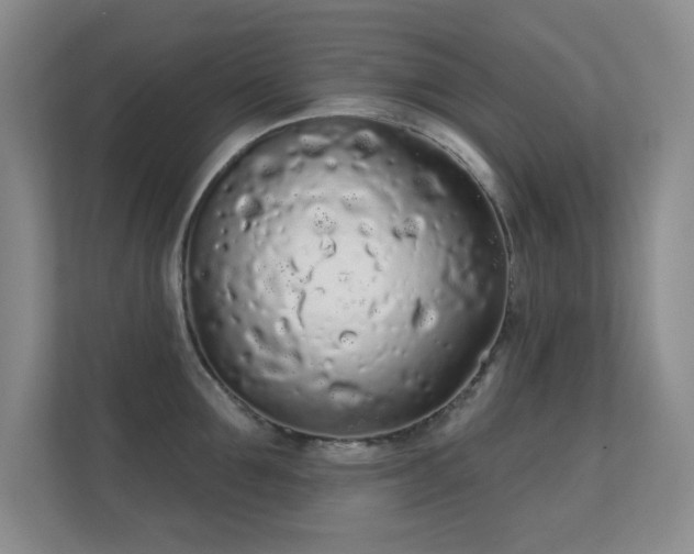 X0000112160907200908141232