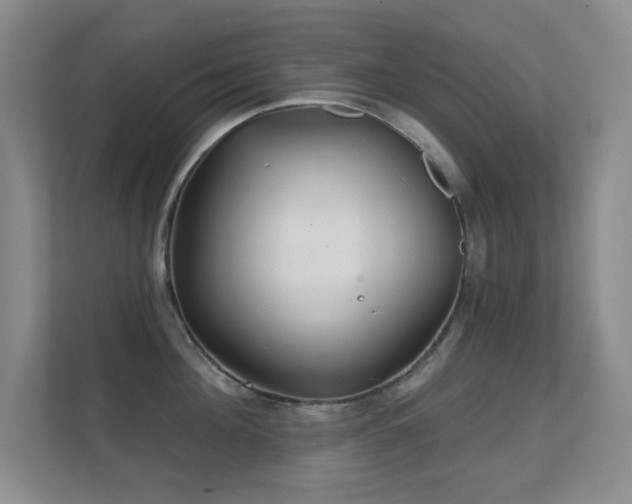 X0000112160908200908141232