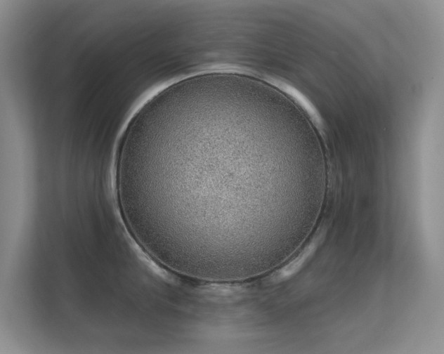 X0000112160910200908141232