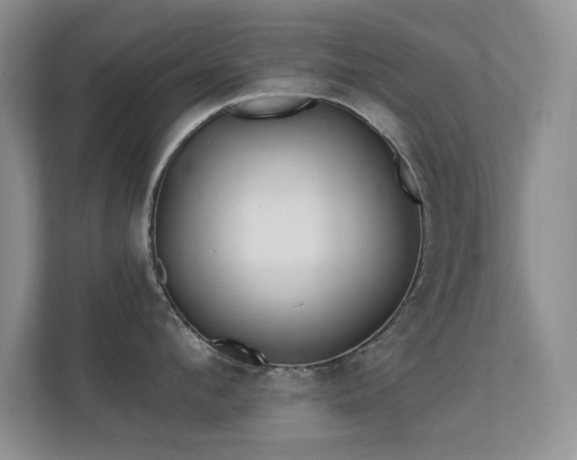 X0000112160912200908141232