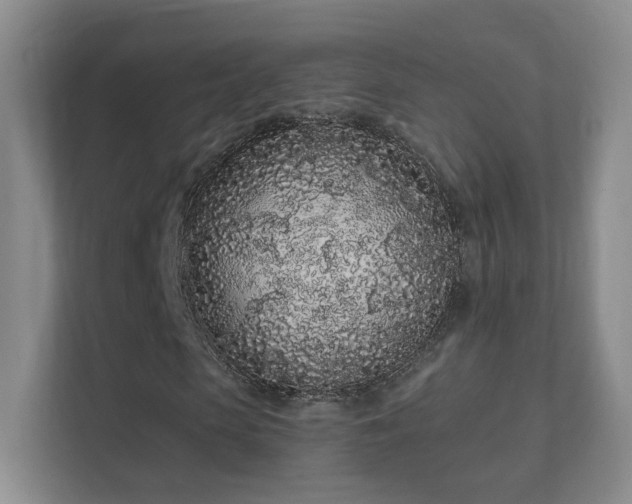 X0000112160913200908141231