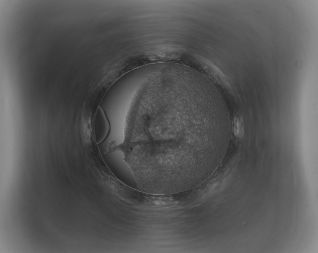 X0000112160915200908141231