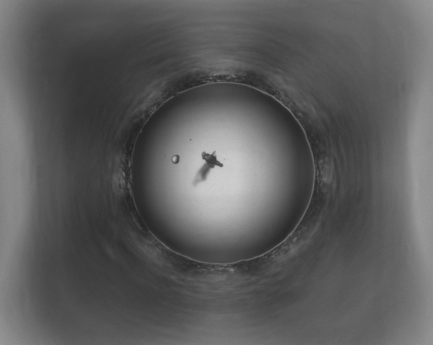 X0000112160916200908141231