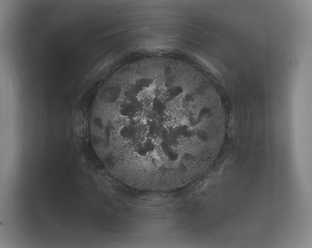 X0000112160917200908141231
