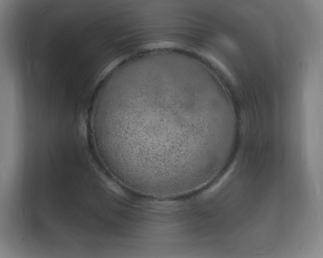 X0000112160921200908141231