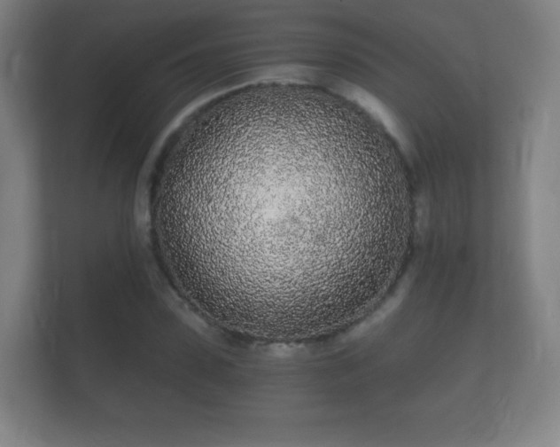 X0000112160923200908141231