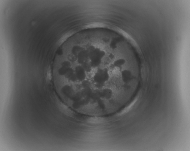 X0000112160929200908141231