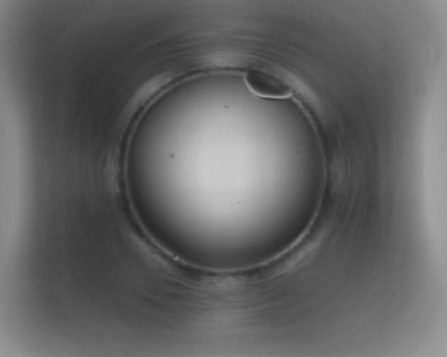 X0000112160930200908141231