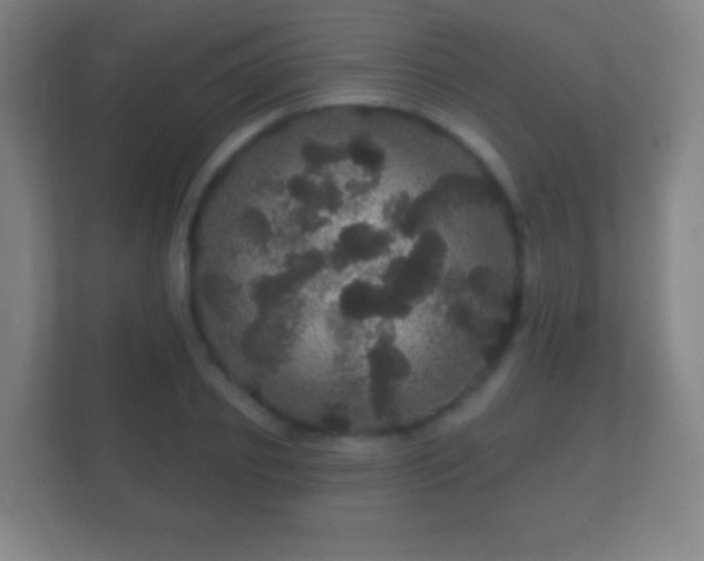 X0000112160933200908141231