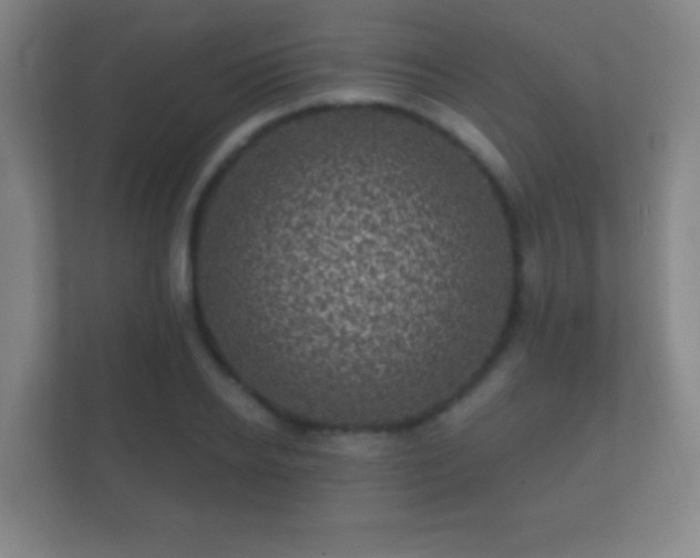 X0000112160934200908141231