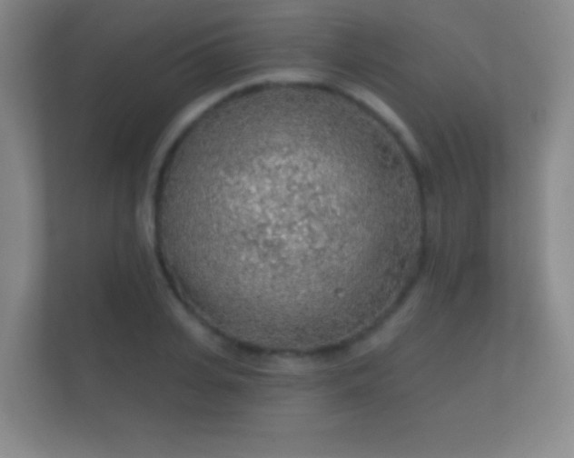X0000112160935200908141231