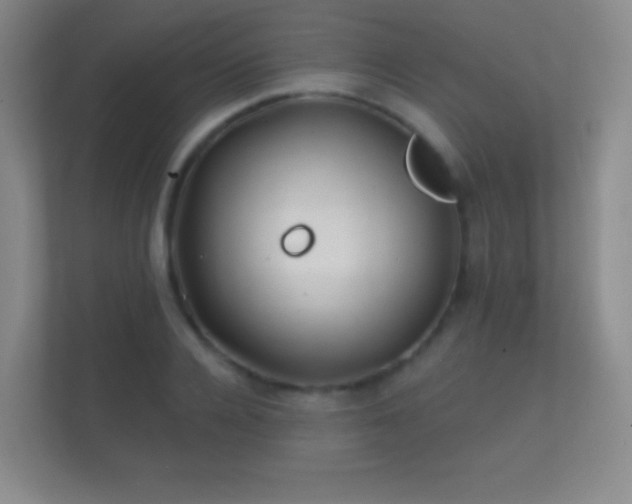 X0000112160936200908141231