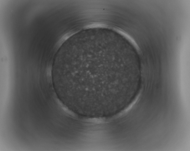 X0000112160937200908141231