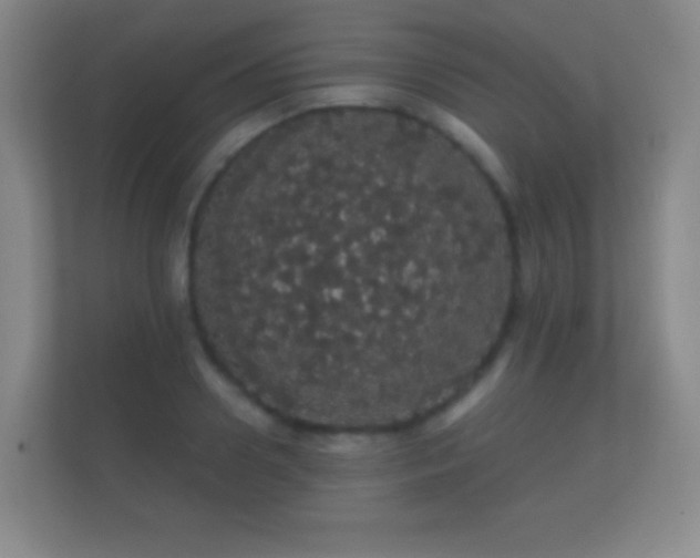 X0000112160938200908141231