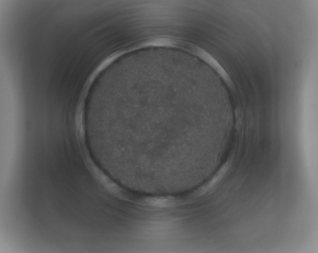 X0000112160939200908141232