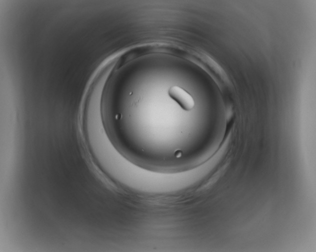 X0000112160940200908141232