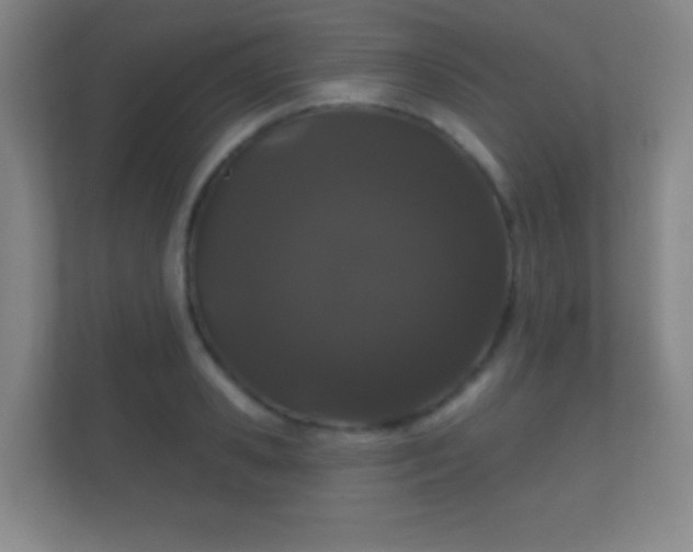 X0000112160941200908141232