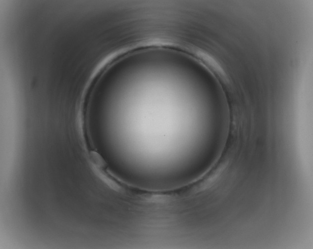 X0000112160942200908141232