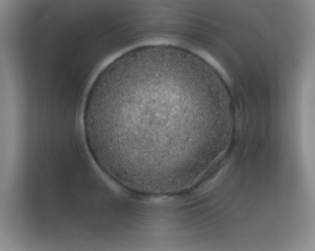 X0000112160943200908141232