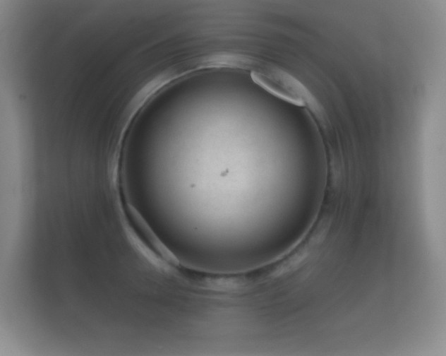 X0000112160946200908141232