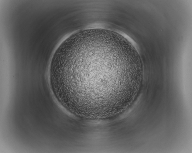 X0000112160949200908141232