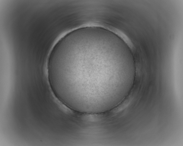 X0000112160950200908141232