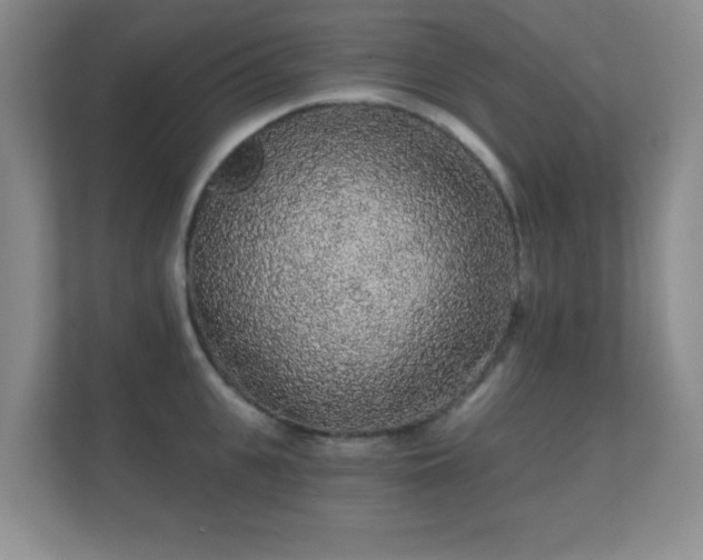 X0000112160951200908141232