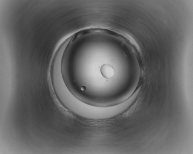 X0000112160952200908141232