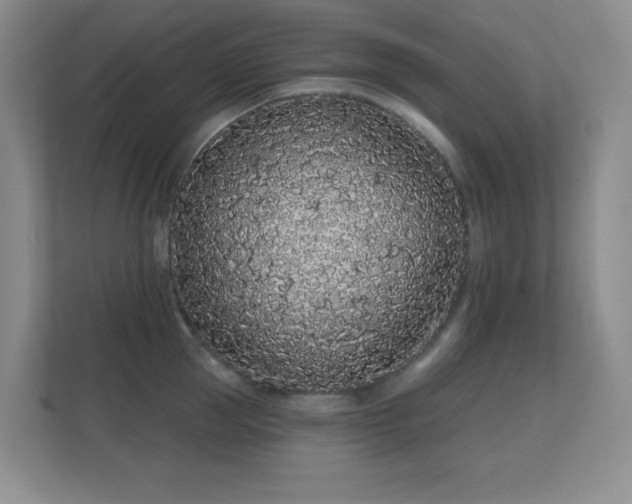 X0000112160953200908141232